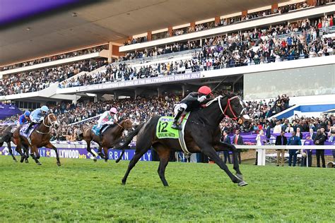 durban july odds|Hollywoodbets Durban July 2023 – Results, Replays .